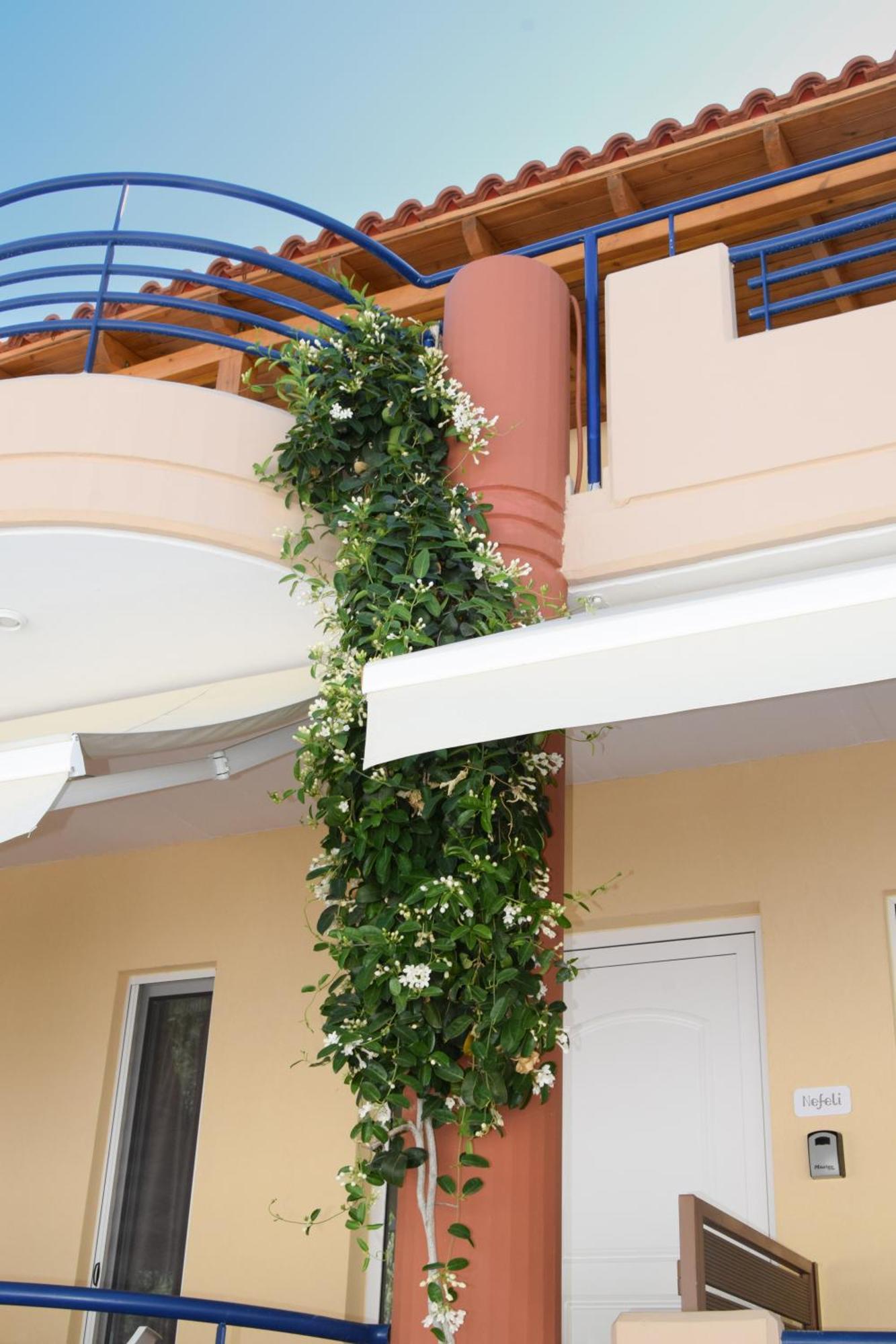Apartmán Andy's Plaza Agia Pelagia Exteriér fotografie